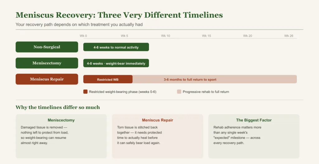 meniscus recovery timeline